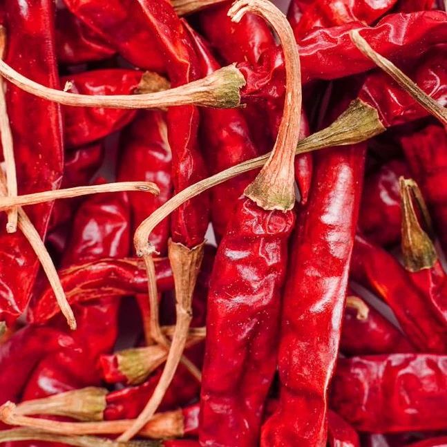 Dried Red Long Chilli With Stem