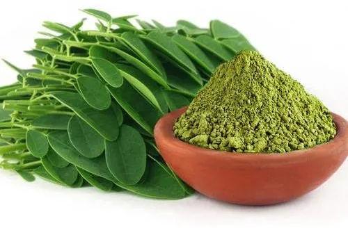 Natural Moringa Leaves Powder