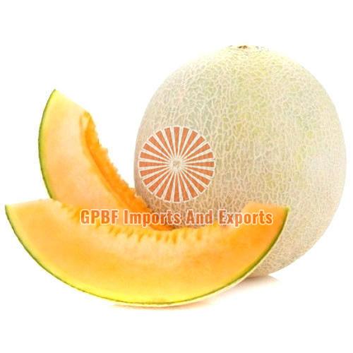 Fresh Muskmelon