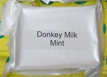 Organic Donkey Milk Mint Soap
