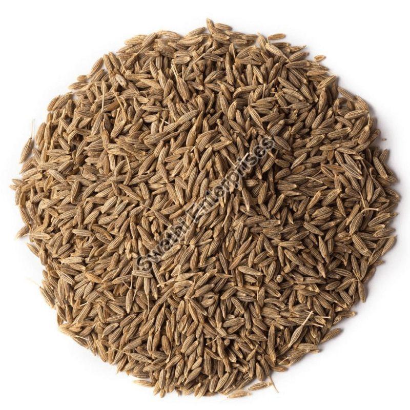 Dried Cumin Seeds