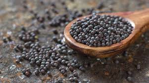 Black Mustard Seeds