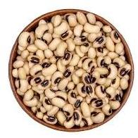 Cow Pea