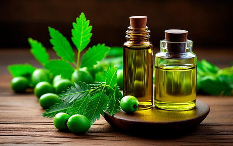 Neem oil