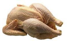 Turkey Meat