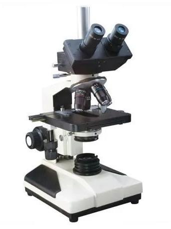 Trinocular Microscope