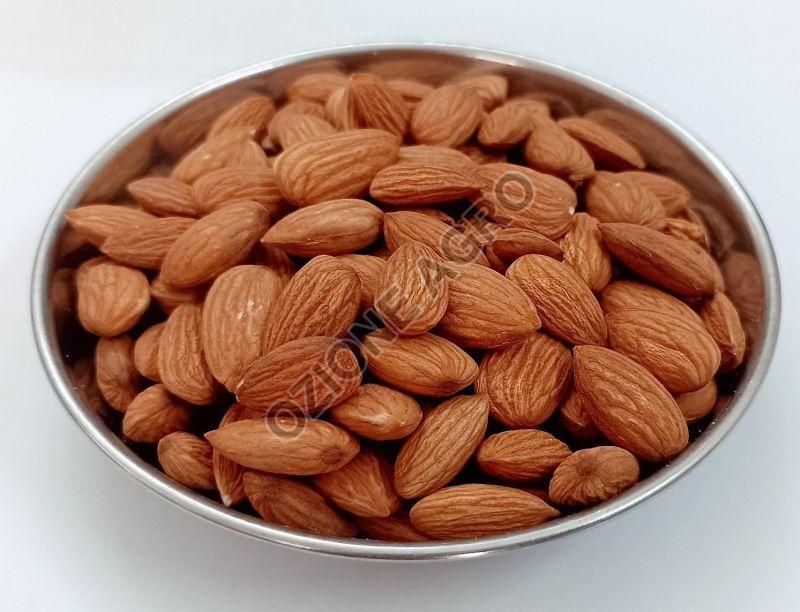 Almond Nuts