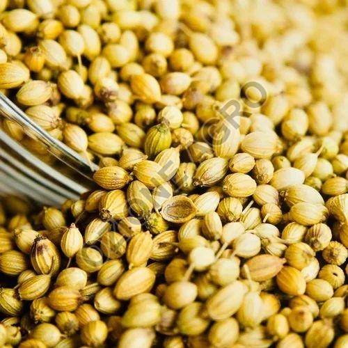 Coriander Seeds