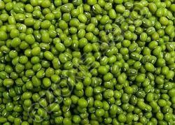 Green Lentil