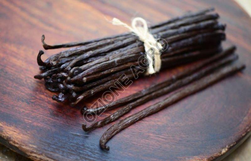 Madagascar Vanilla