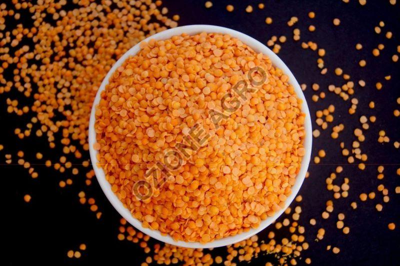 Orange Lentil