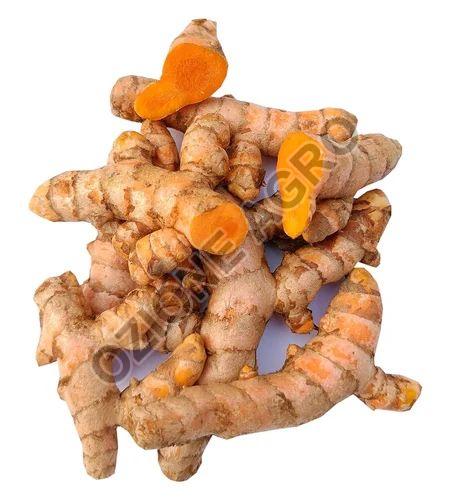 Raw Turmeric Finger