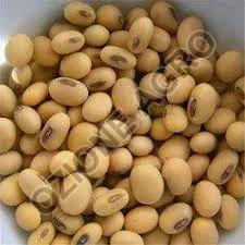 Soybean Seeds