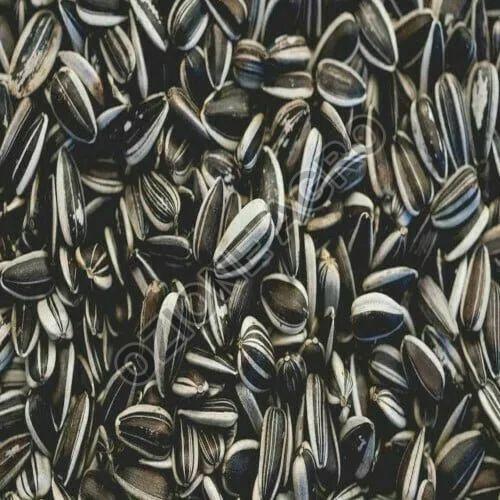 Sunflower Seeds