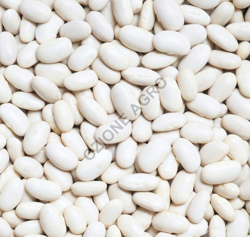 White Kidney Beans