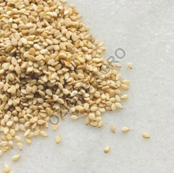 White Sesame Seeds