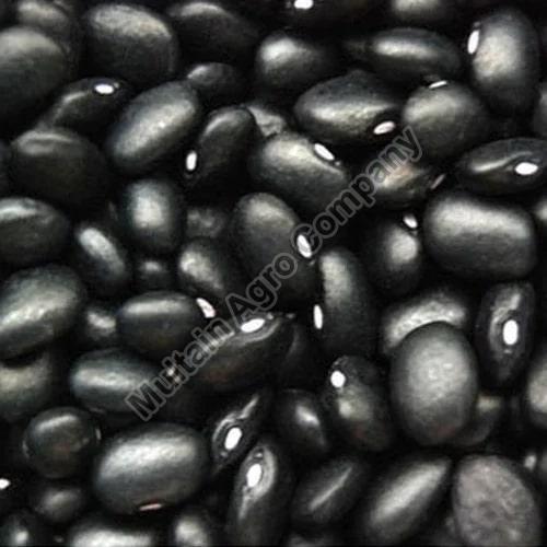 Black Kidney Beans