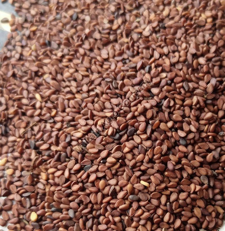 Brown Sesame Seeds