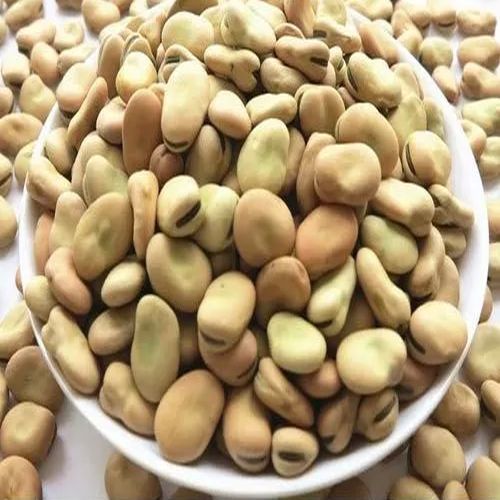 Dried Faba Beans