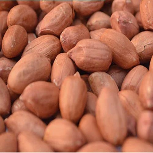 Groundnut Kernels