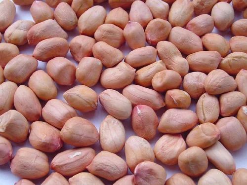 Java Groundnut Kernels