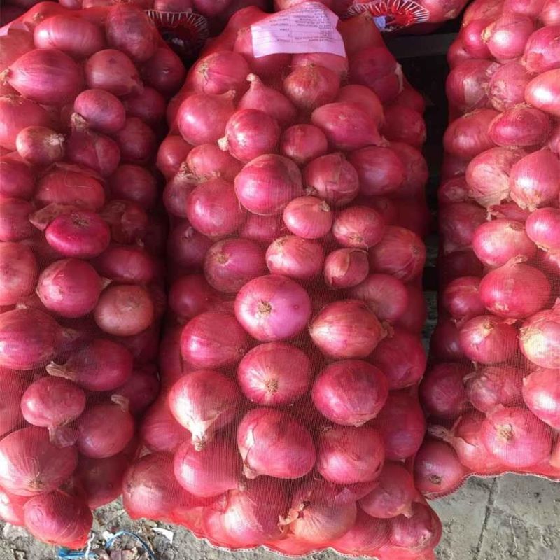 Fresh Red Onion