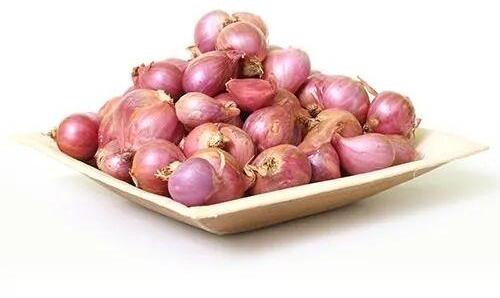 Fresh Shallots Onion