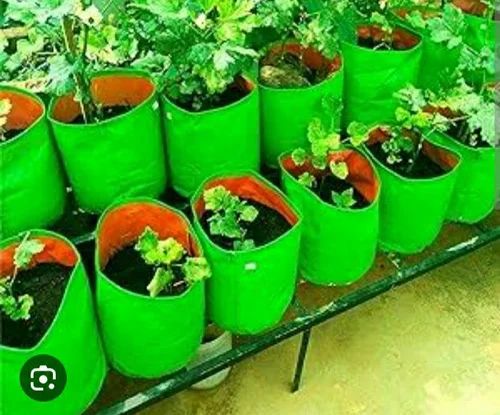 Green HDPE Grow Bag