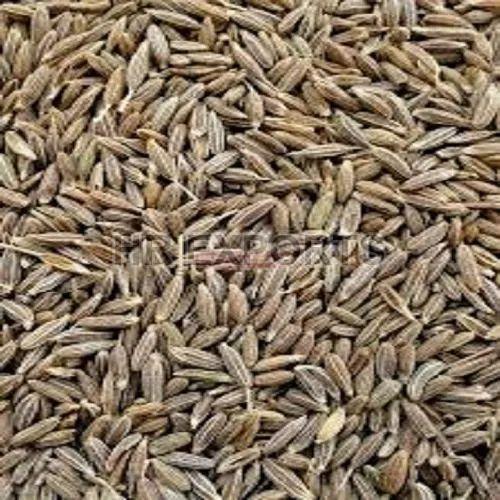 Cumin Seeds