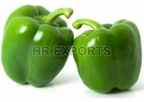 Fresh Capsicum