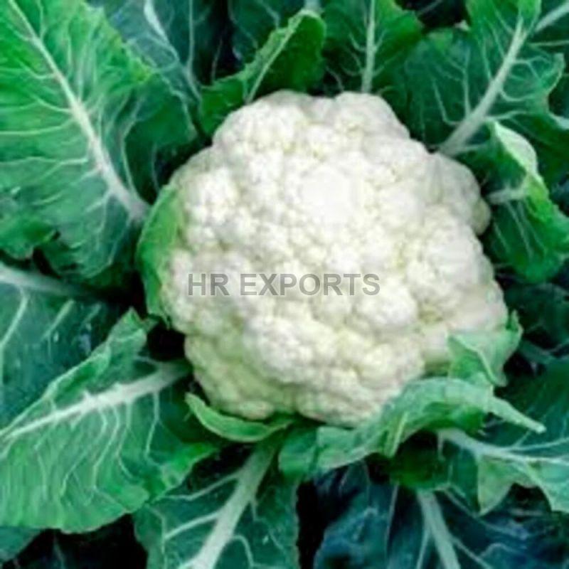 Fresh Cauliflower