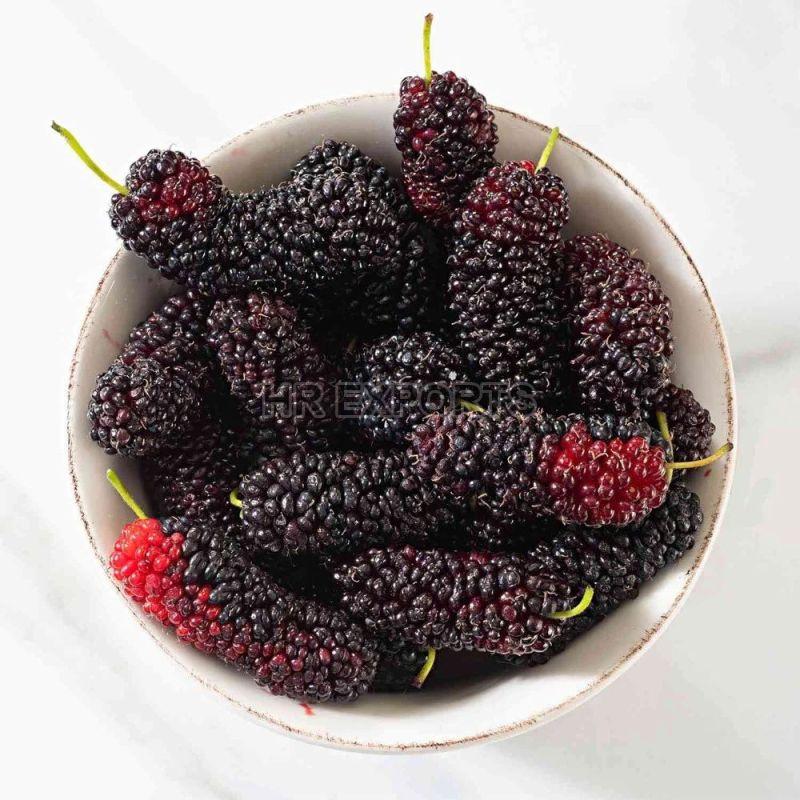 Fresh Mulberry