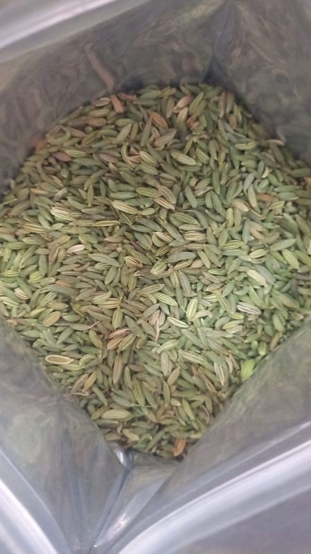 Fennel Seeds