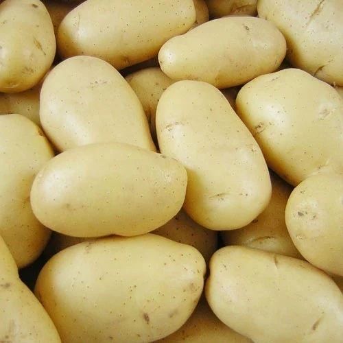 Fresh Potato