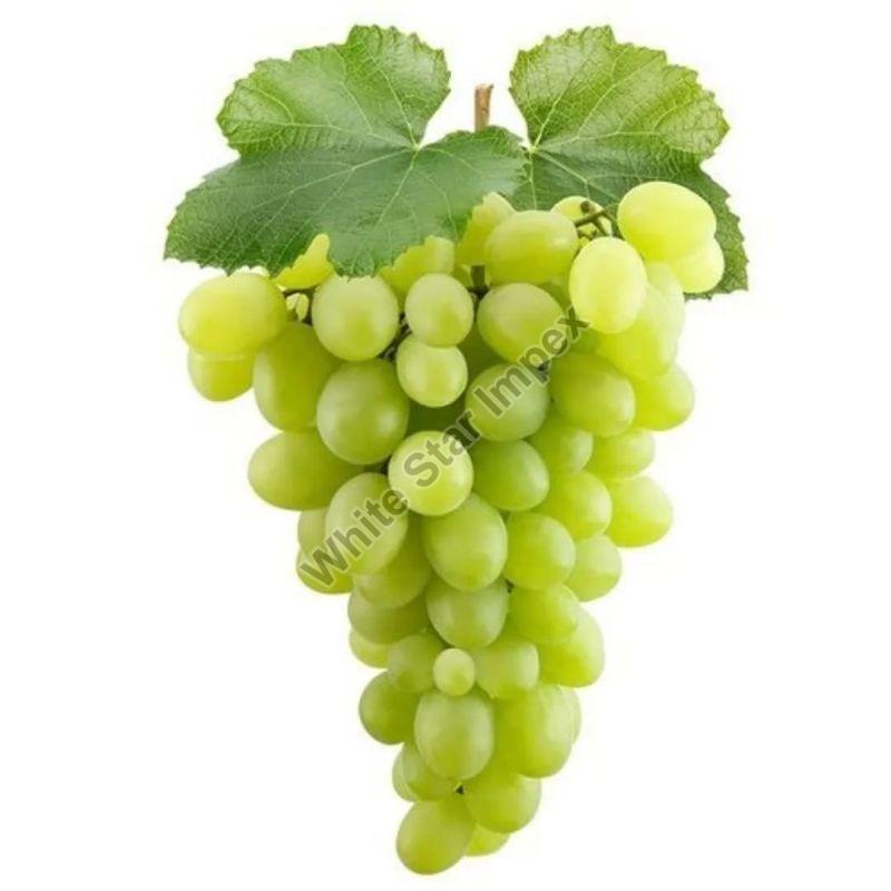 Fresh Grapes