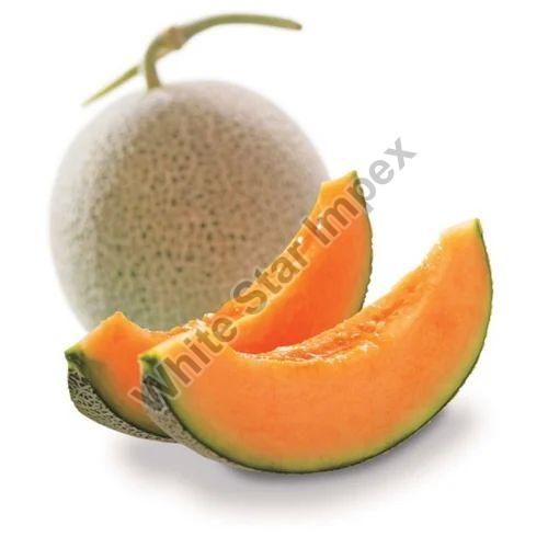 Fresh Muskmelon