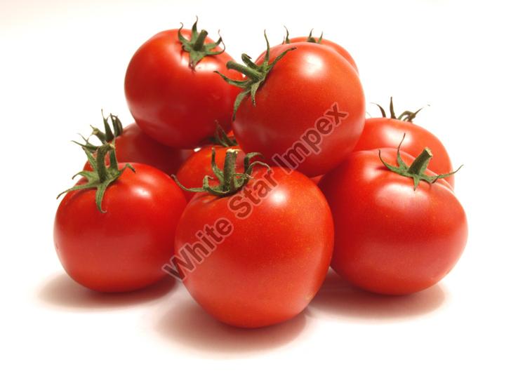 Fresh Organic Tomato