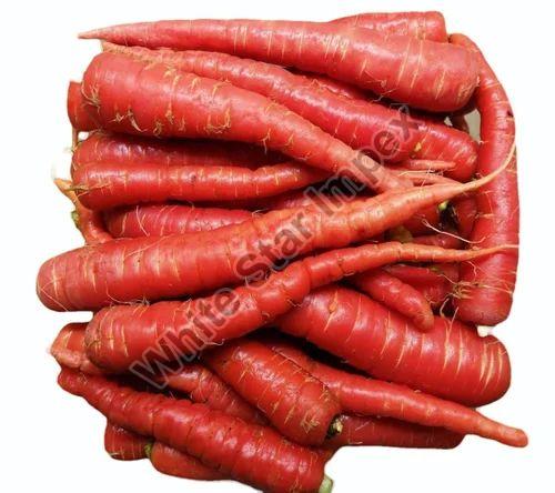 Fresh Red Carrot