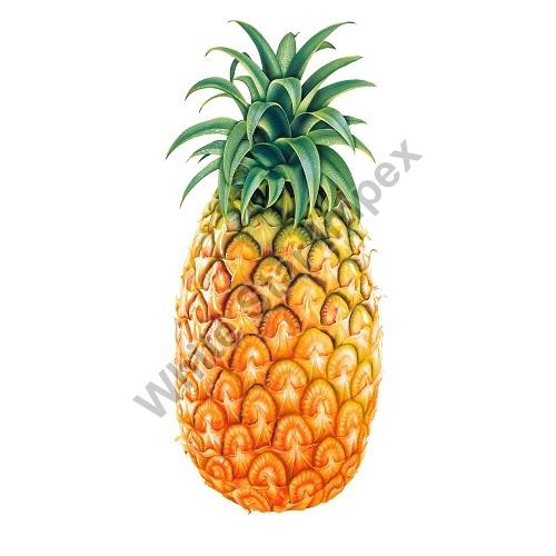 Organic Fresh Pineapple