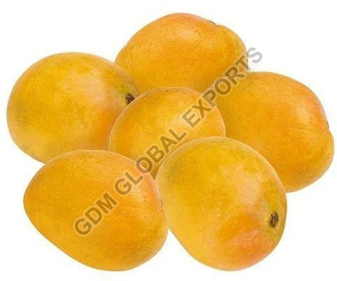 Fresh Badami Mango