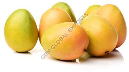 Fresh Kesar Mango