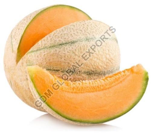 Fresh Muskmelon