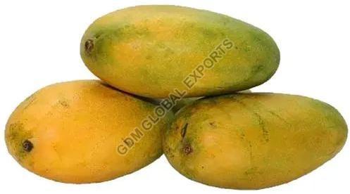 Fresh Neelam Mango