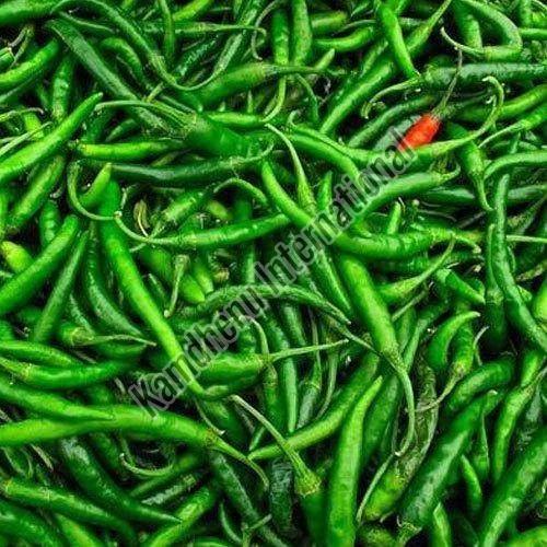 A Grade Green Chilli