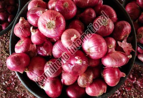 Red Onion