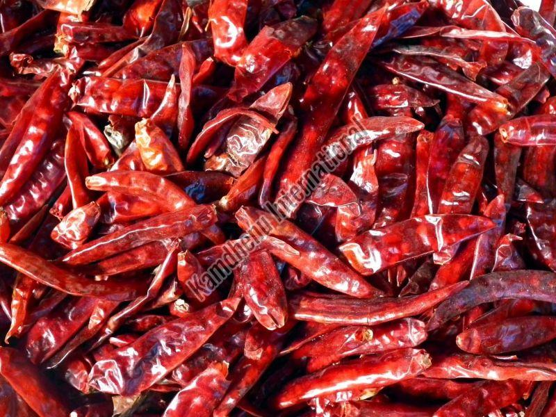 Dry Red Chilli