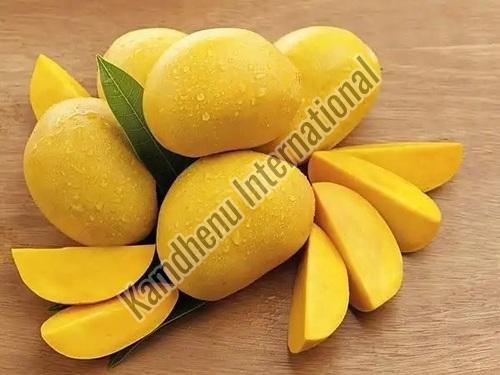 Fresh Alphonso Mango