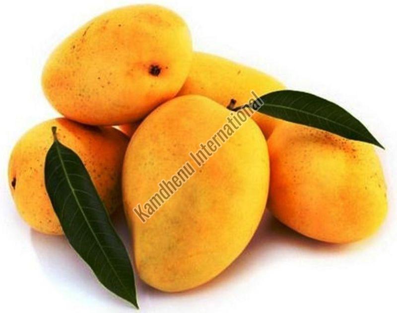 Fresh Kesar Mango