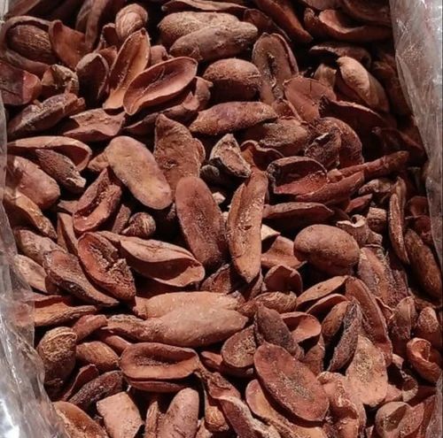 Dried Mahua Seeds
