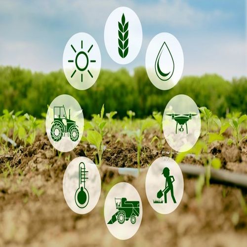 Agricultural Waste Management Consultancy Service